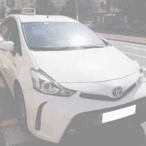 flota taxis
