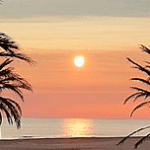 TAXI VALENCIA GNDIA 65€